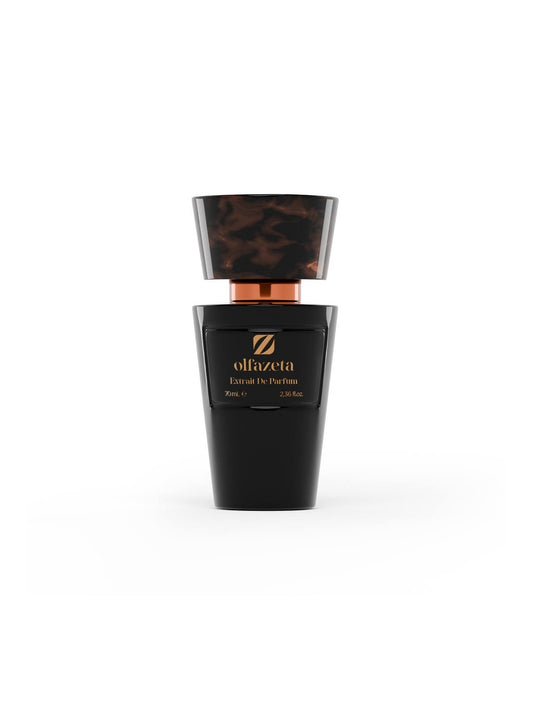 Parfum Homme Essence 30% Inspiration Black XS